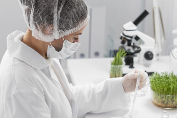 Formación y curso manipulador de alimentos online y presencial